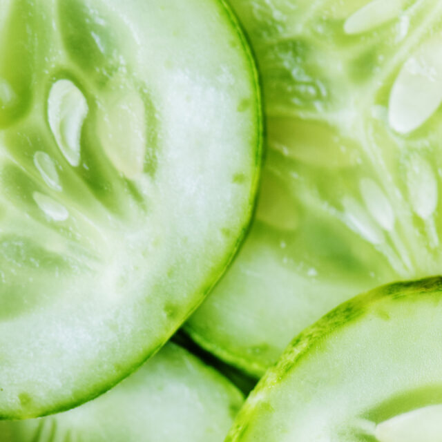 Slices of freshly cut cucumber